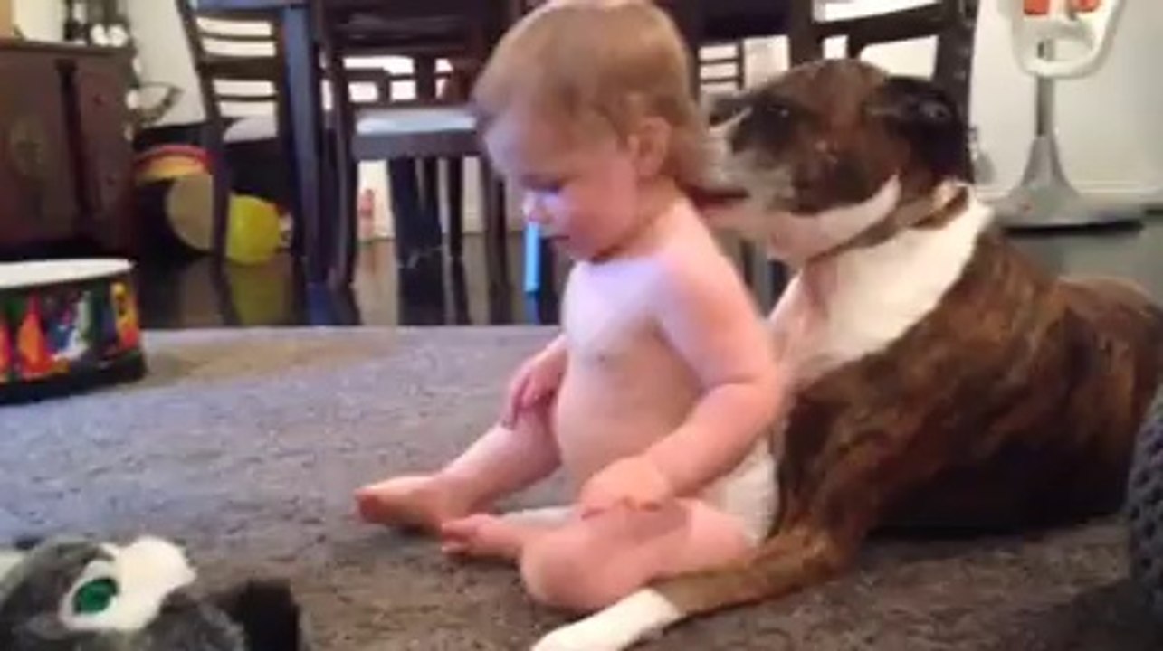 Dog doing massage boy