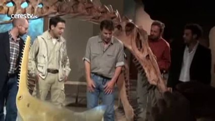 El "Spinosaurus aegyptiacus", el mayor depredador del Cretácico, sabía nadar