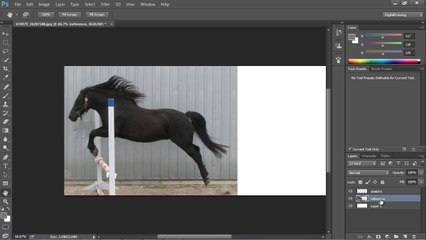 Digital Drawing 101 Drawing Animals - 2.1. Observation and Gesture