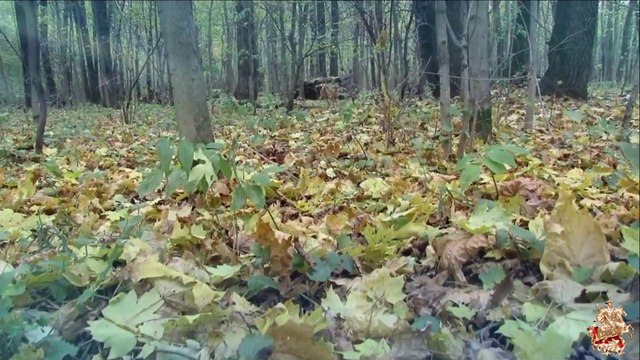 ♛♫♥Dave Emanuel & Steve Nyman - Rise & Fall (Mix) [Arisa Audio]♥♫♛