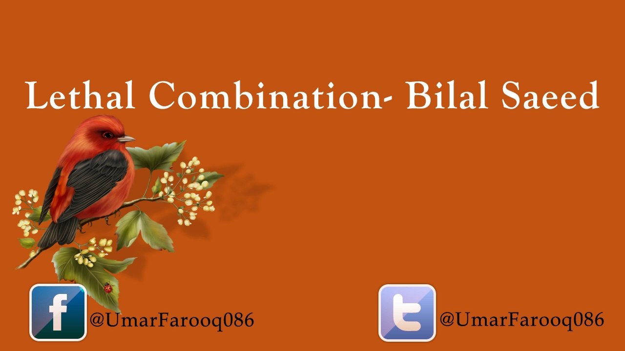 Lethal Combination Full HD 720p Video Song - Bilal Saeed