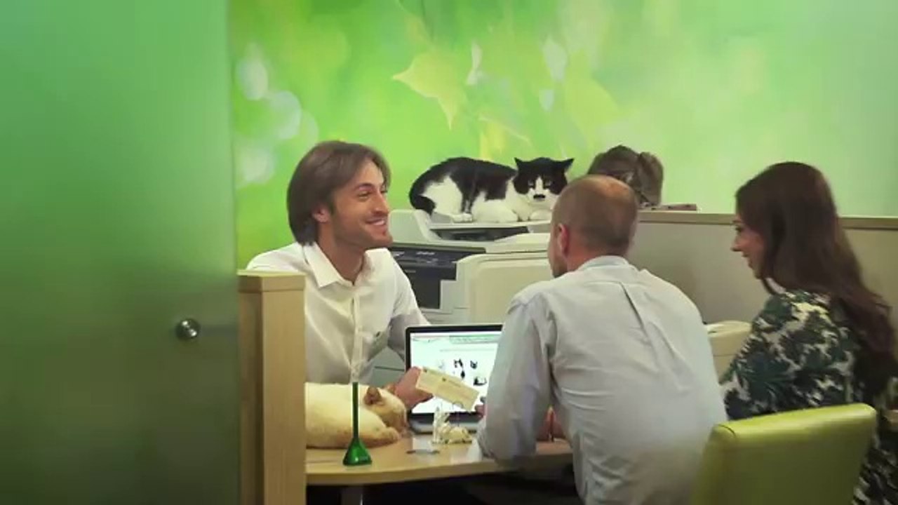 Un chat prêté pour les pendaisons de crémaillère