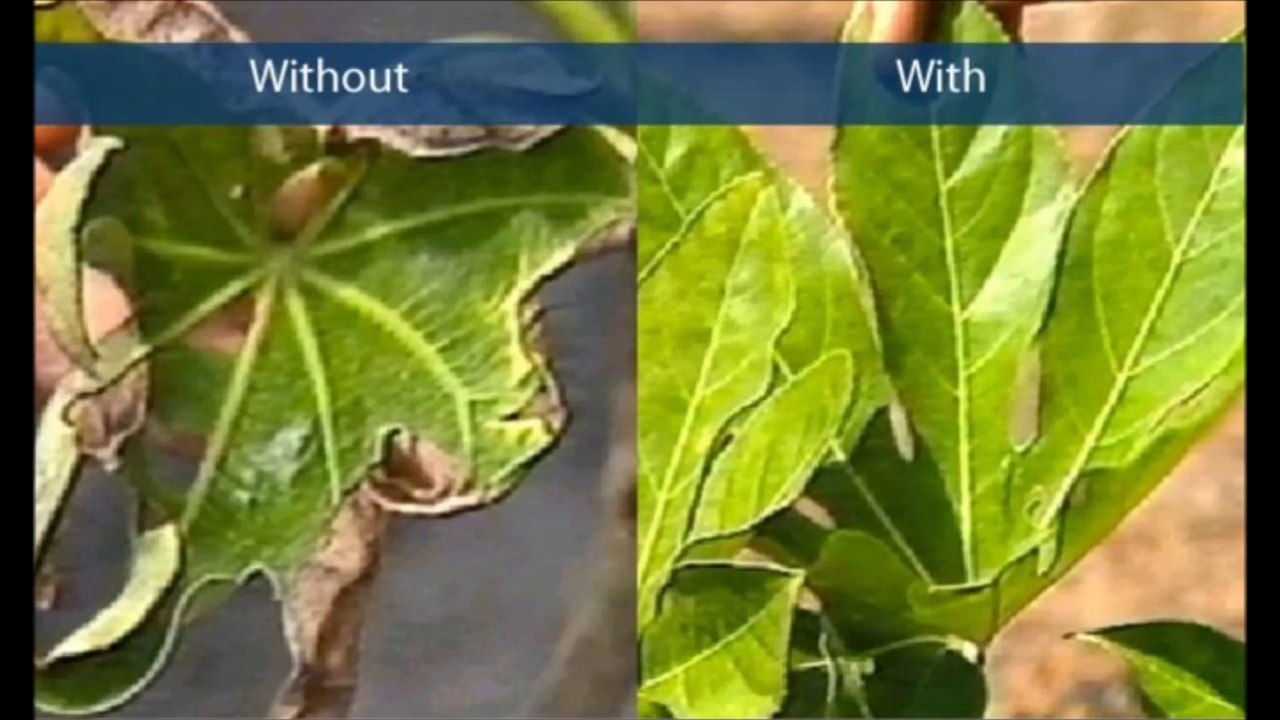 The Advantages of Having A Water Softener System