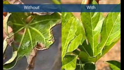 The Advantages of Having A Water Softener System