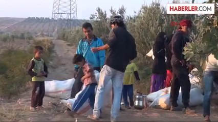 Dha Yurt: Suriyeliler'in Kaçışı Sürüyor