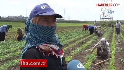 Genç Kızların Eğitim Dramı