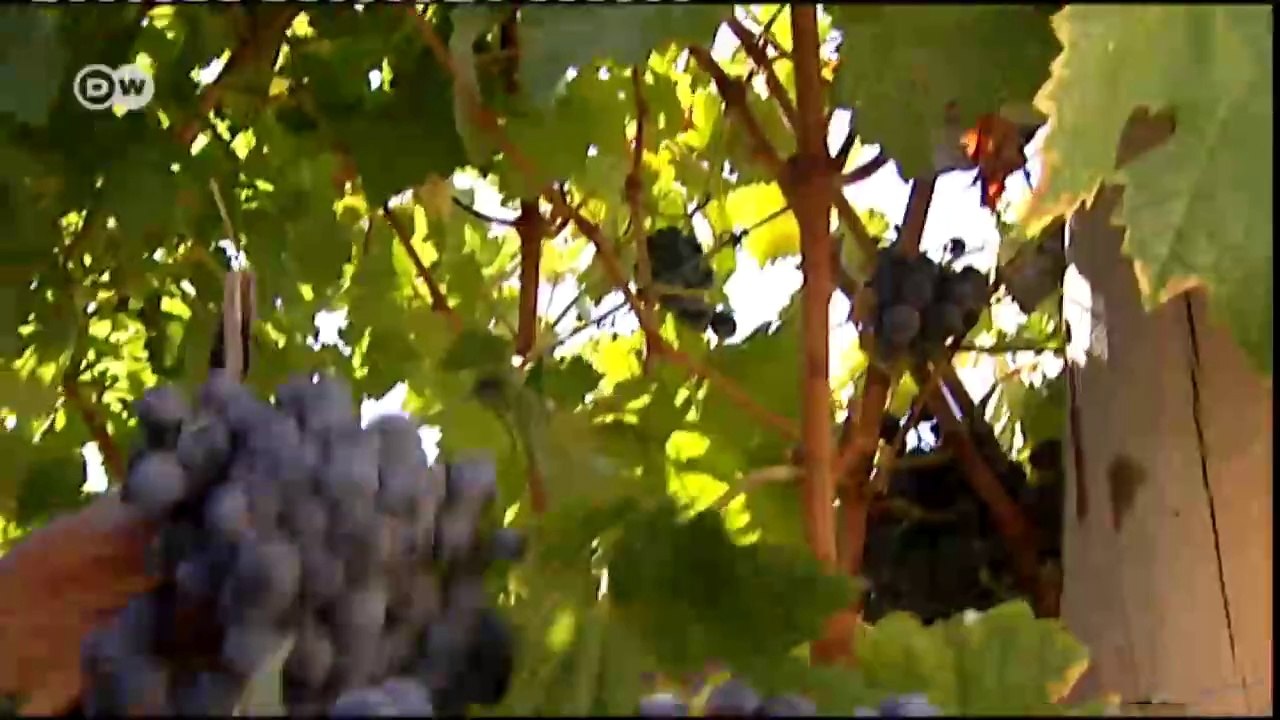 Highlights der Woche | Euromaxx Highlights vom 13.09.2014