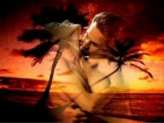 Bart Lauwers - Adio Amore Adio