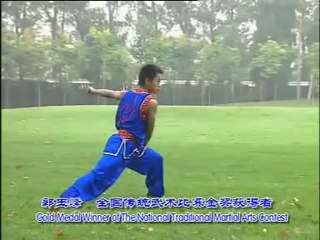 Tao Nan Quan ( Wushu )