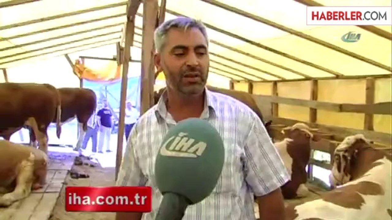 Görenleri Hayrete Düşüren Kurbanlık