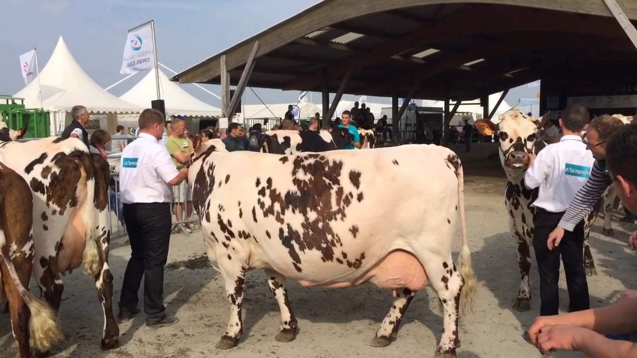 Foire de Lessay : dernier jour