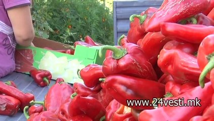 PIPERKI ZA AJVAR KE IMA