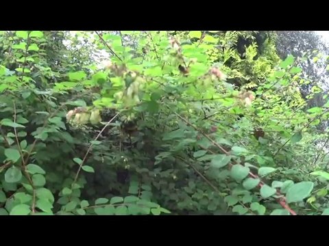 en mode SLOW , Jordy et Gladys