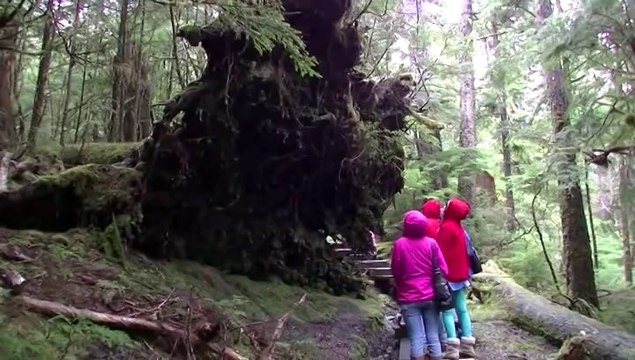 avril-2014-HAIDA-GWAII