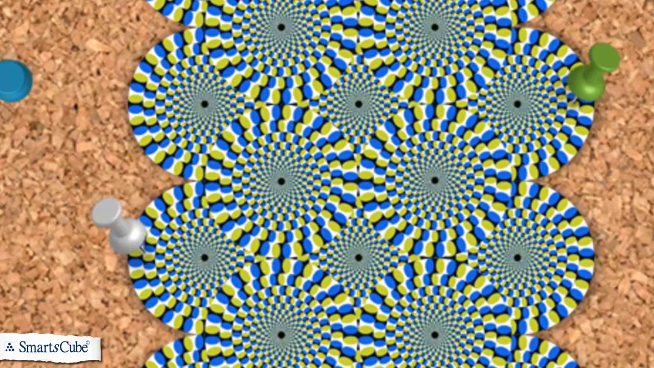 Votre cerveau vous trompe (les preuves!)