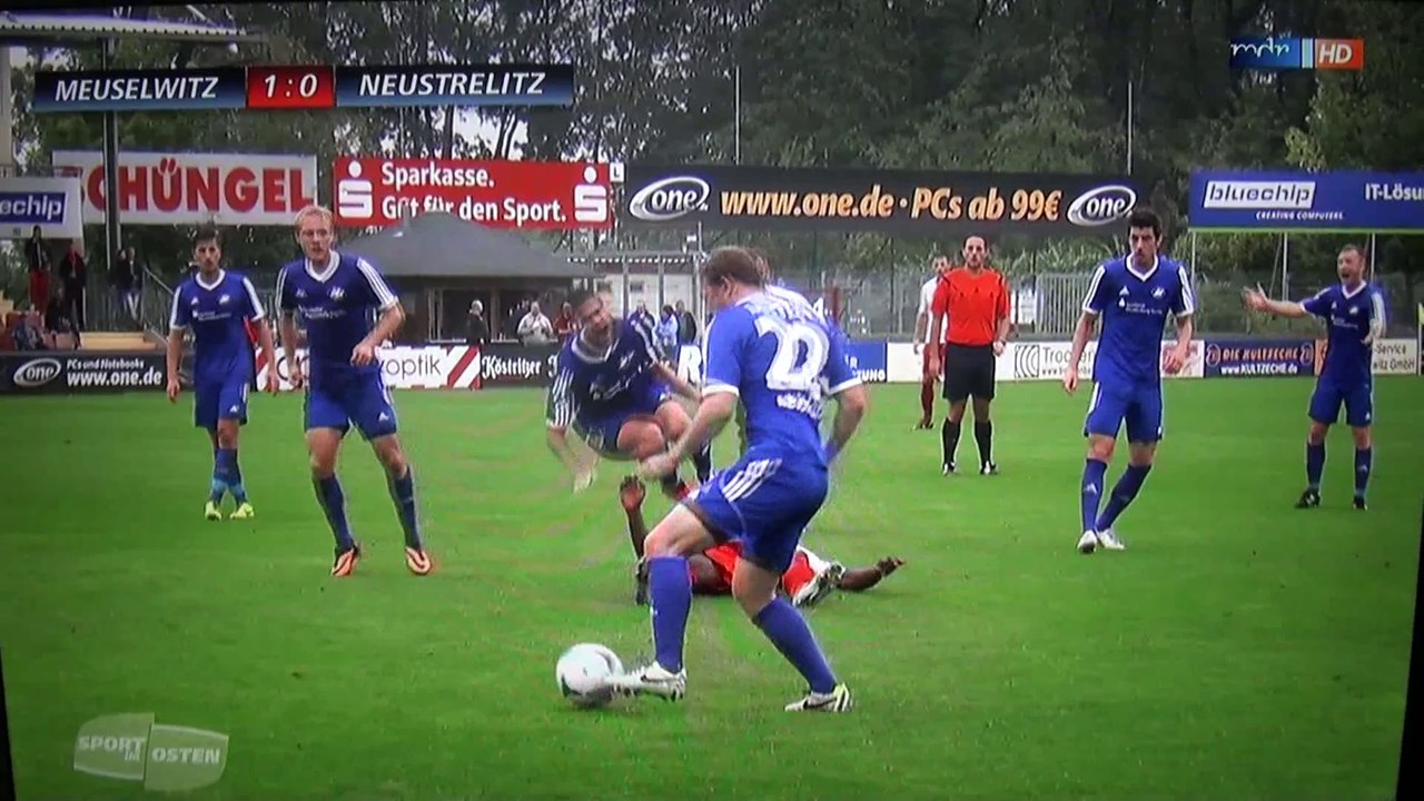 ZFC Meuselwitz vs. TSG Neustrelitz (4:1) | 14.09.2014