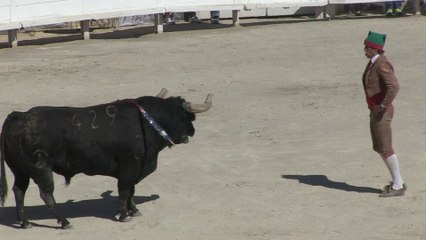 Arles : les rencontres tauromachiques à la Feria du riz
