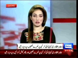 Dunya News - Qadri wants to waste people's money: Pervaiz Rasheed