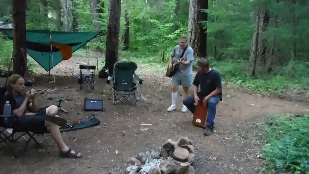 Guitar player bitten by rabid bat during jamming session in woods