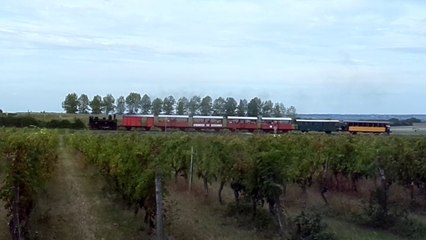 Train des Mouettes dans la rampe de Chaillevette...