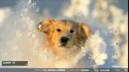 Canon EOS 7D Winter Test