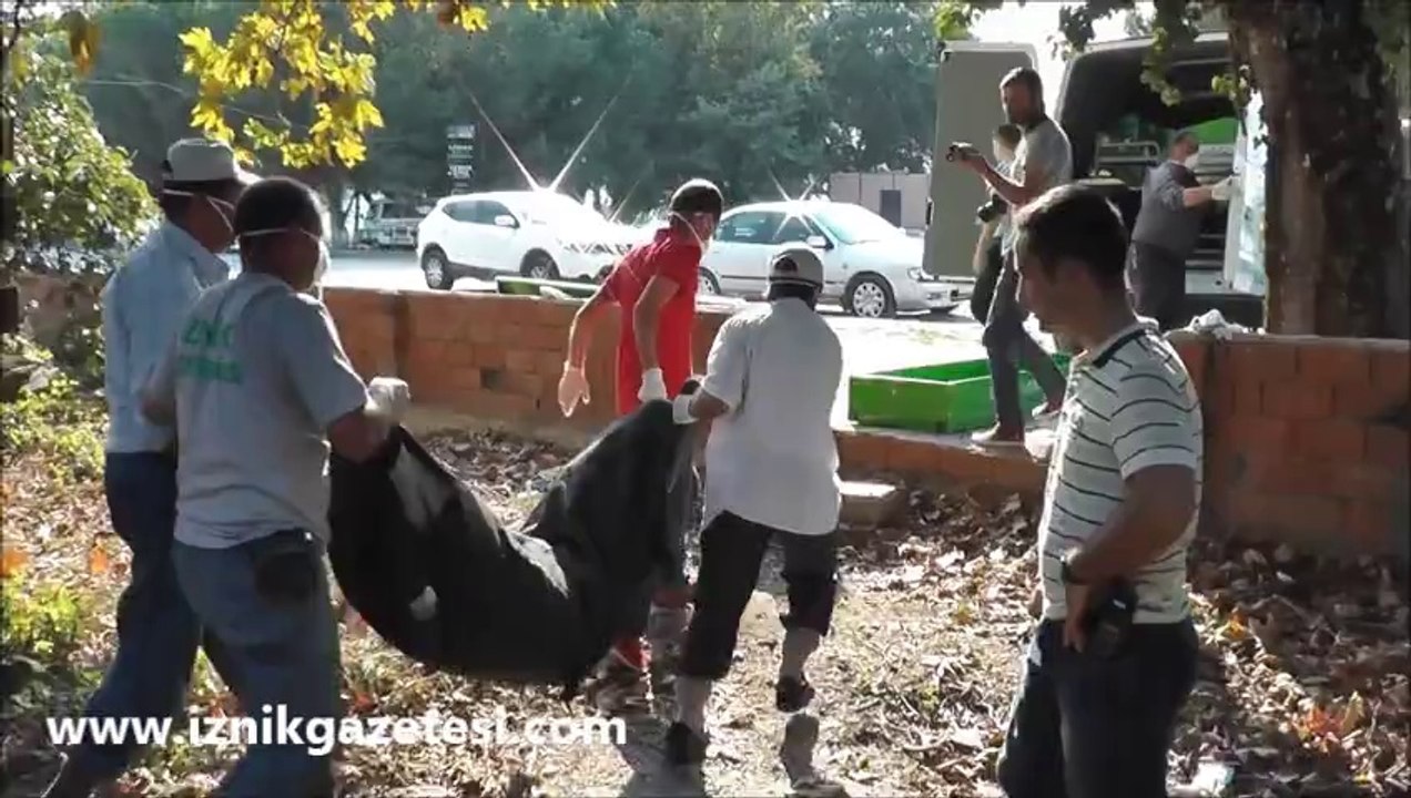 İznik'te yaşadığı evinde ölü bulundu