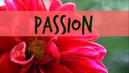 Inspirational Phrases | @CorinaWisdom Quotes - Passion