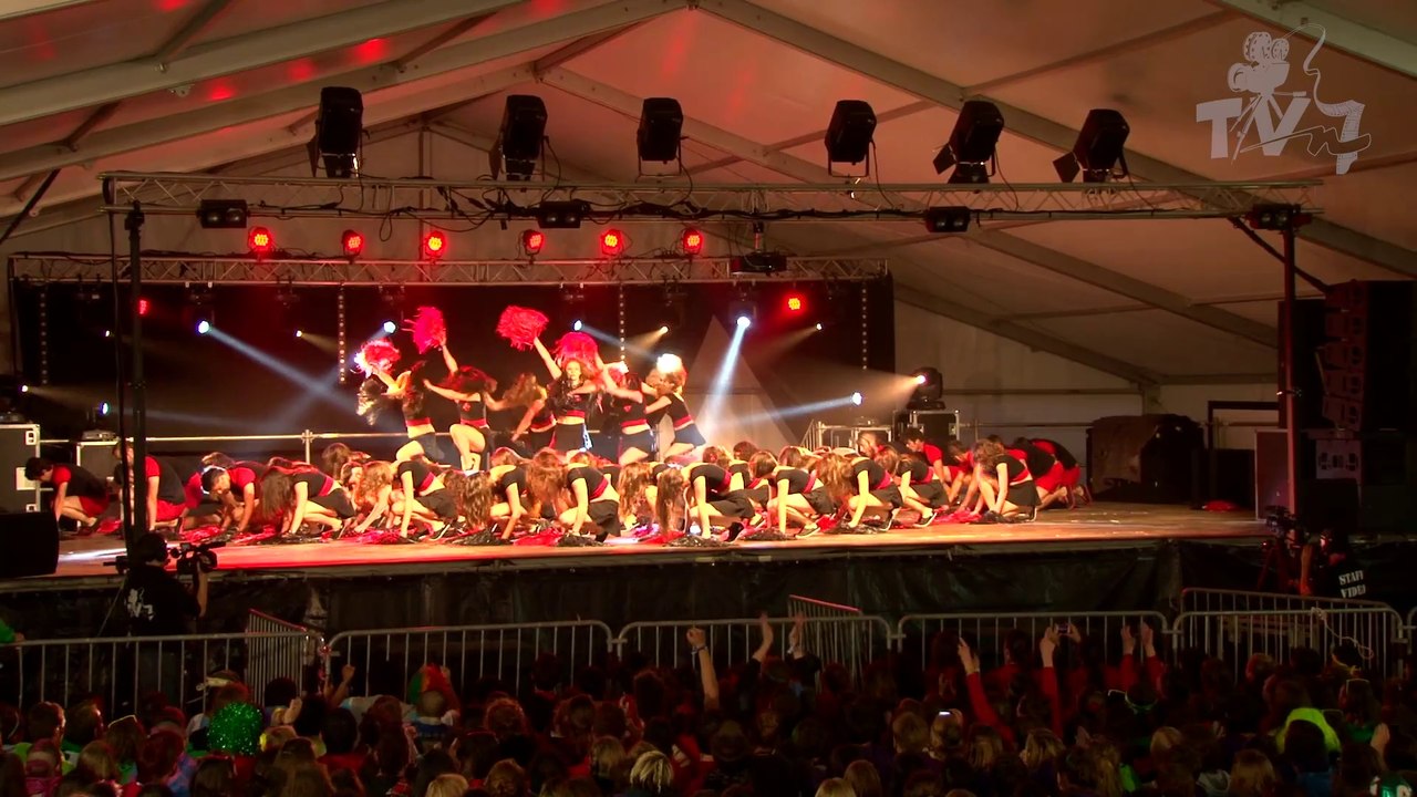 Pompoms ENSAT IA 2014