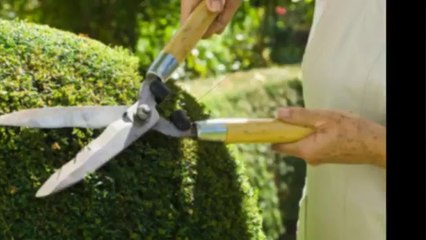 Broestler BrushCutting, LLC (518) 692-9074