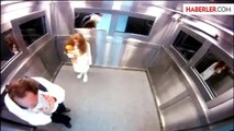 Asansördeki İnsanlara Hayalet Kız Şakası Yapıldı