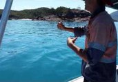 Huge Marlin Fish Pulled Onto Boat by Hand