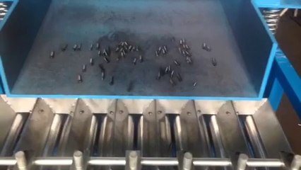 Chip sorting machine