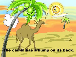 Jungle Animals __ Kids Educating Videos