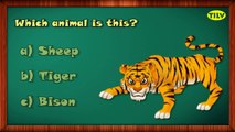 Learn about Animals with Interactive Learning Videos for Pre School Kids by TILV