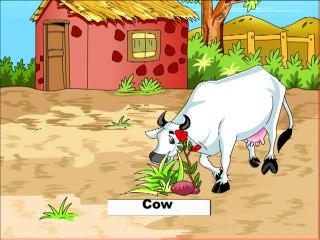 Learn About Pet Animals __ Kids Learning Videos