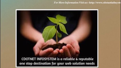 Digital Marketing Services with CDOTNET Infosystem