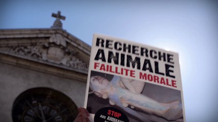 Europe SANG Vivisection