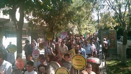 Kurdî-Der Li Sêrtê Meşa Ziman Li Darxist