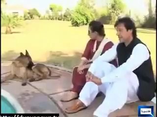 Imran Khan's Dog Sheru Annoying Mehar Bukhari (OLD VIDEO)