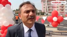 Bolu Üniversite Kampusünde Yol İçin Ağaç Kesimi