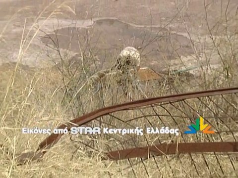 Επιxείρηση Σκούπα στο ΤΕΙ από το Δήμο Διρφύων Μεσσαπίων