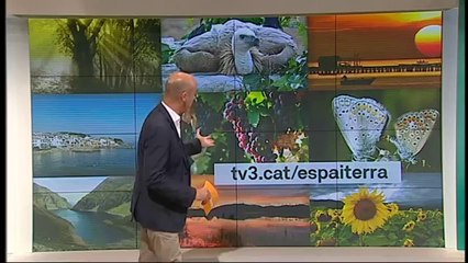 Espai Terra. dilluns 15 de setembre