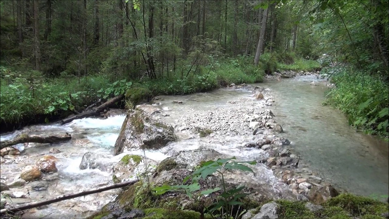 Water near Weißenbach (19.08.2014)