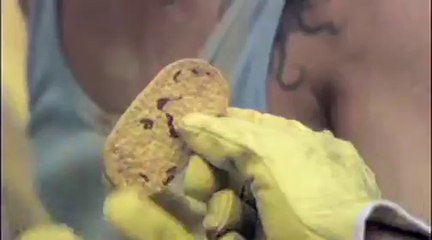 Spot TV Communauté française de Belgique