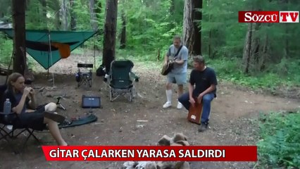 Gitar çalarken yarasa saldırdı
