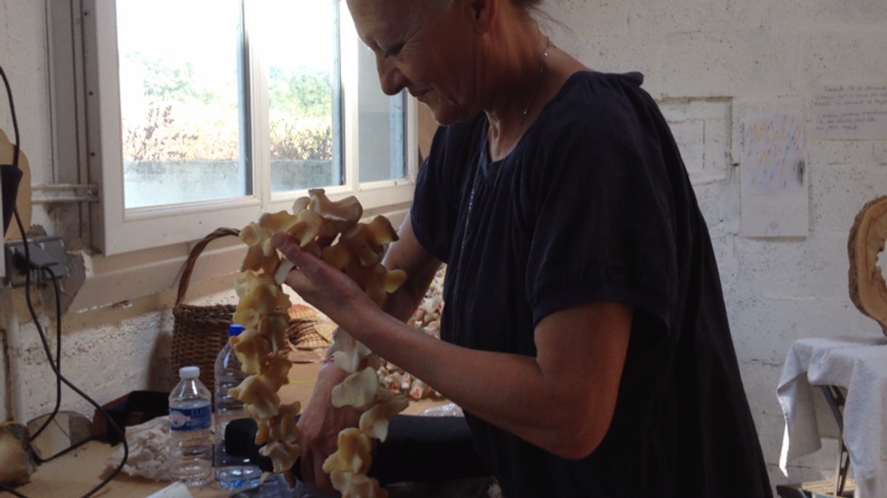 Les artistes ouvrent leurs portes