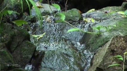 Sierra Maestra: origen de la revolución cubana