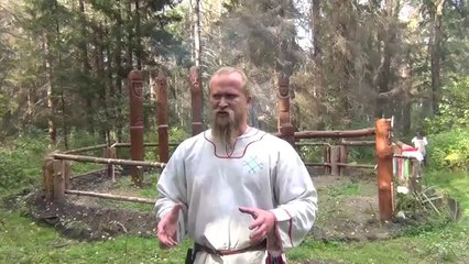 Русский Н.С. об Украине, сепаратистах, Порошенко, Азове