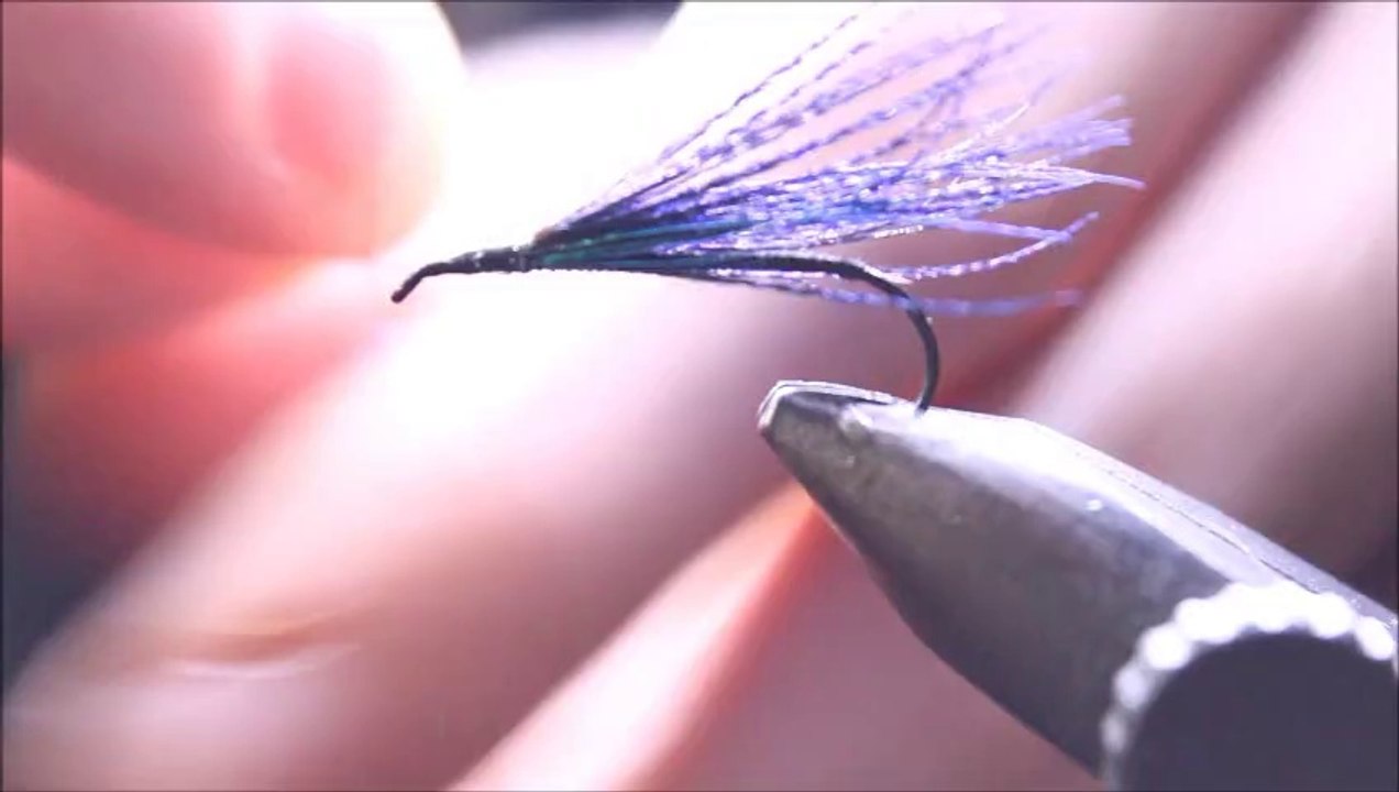 mouche bleue grand format