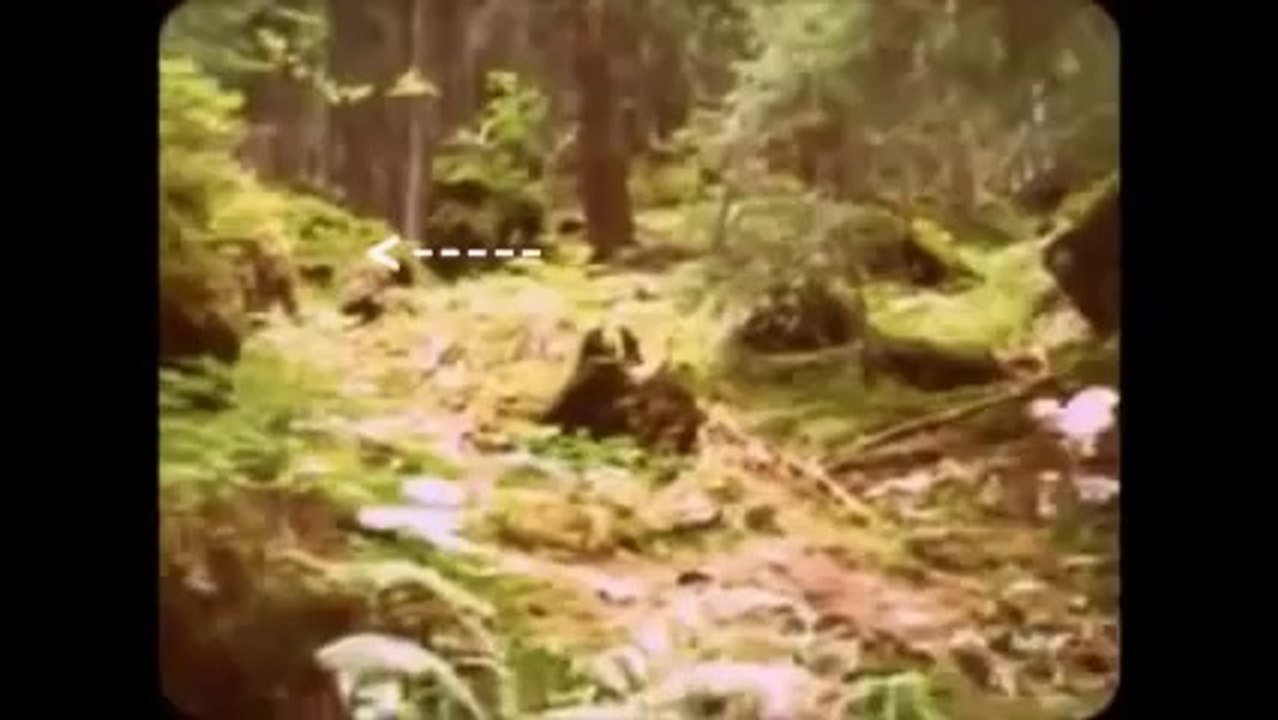 BigFoot Best Evidence 2014 - 100% Real Footage - Sasquatch - Yeti Sightings
